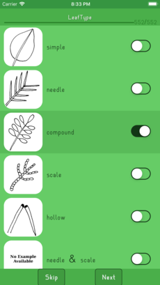 the app's display during the process of plant identification