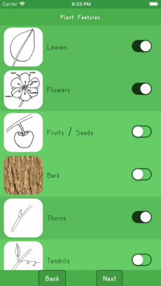 the first page of the plant identification process