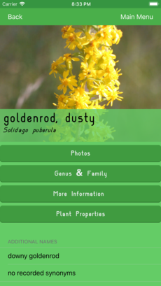 the app showing details of the Dusty Goldenrod plant